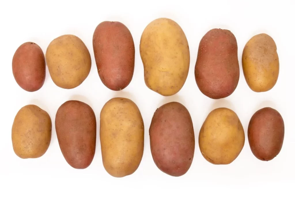 Potato Red Yellow Skin