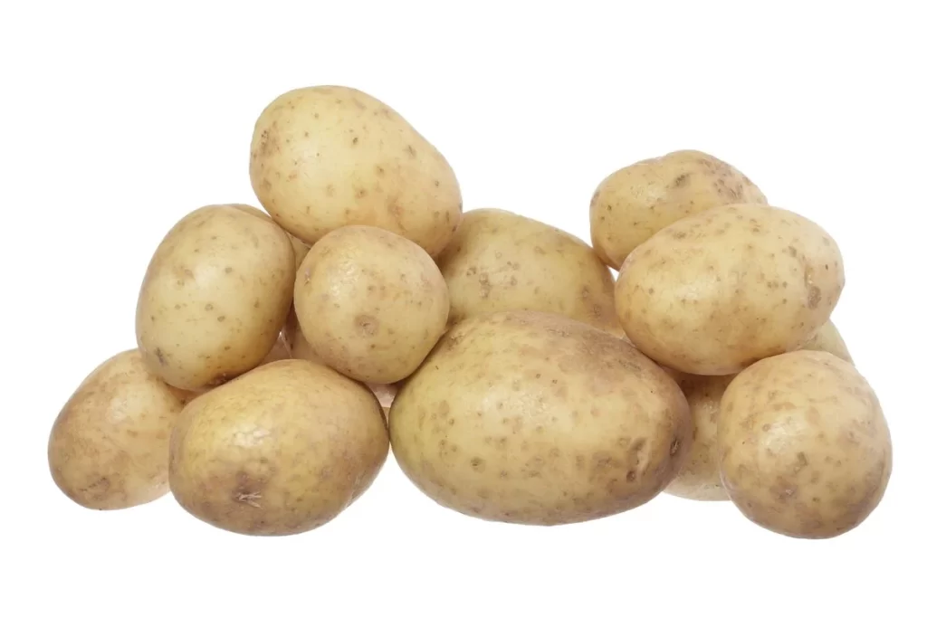 Potato Yellow Bumpy Skin