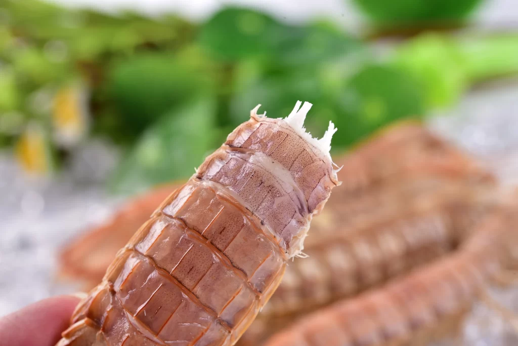 Prawn Brown Shell Fresh Green Leaves