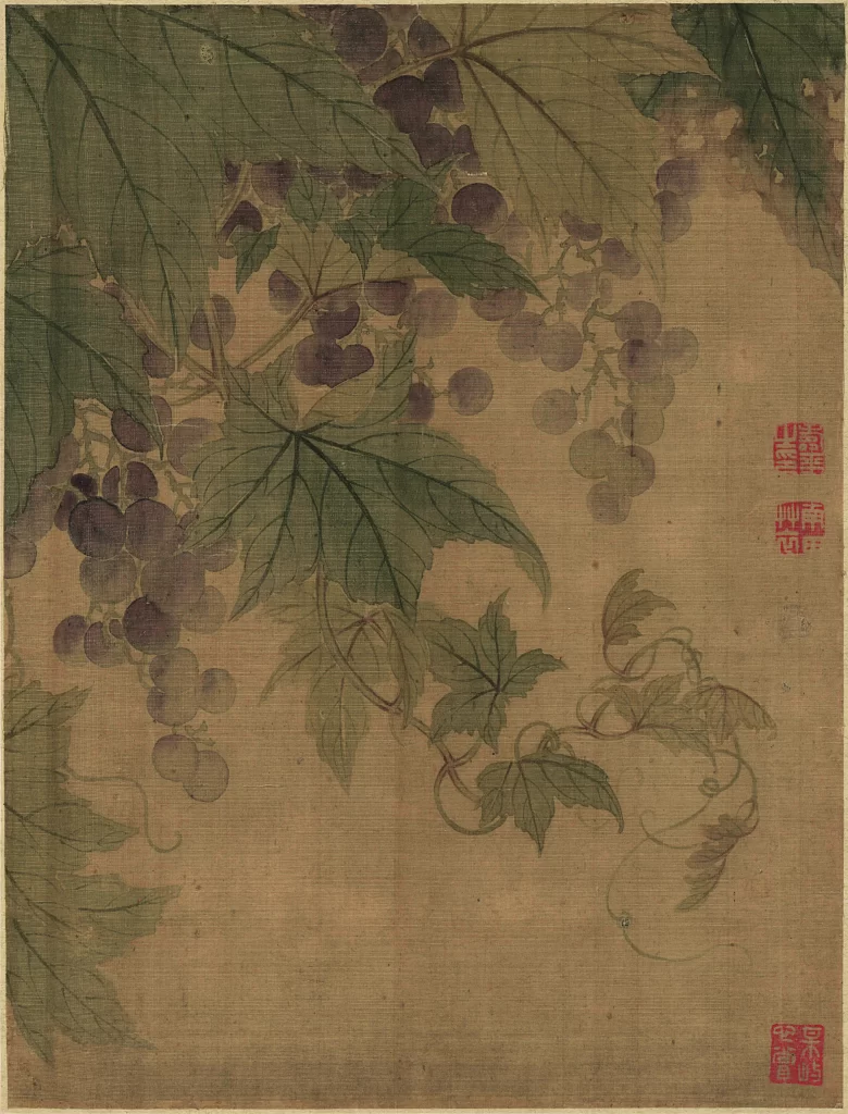 Purple Grapes Vines Leaves Yun Shouping