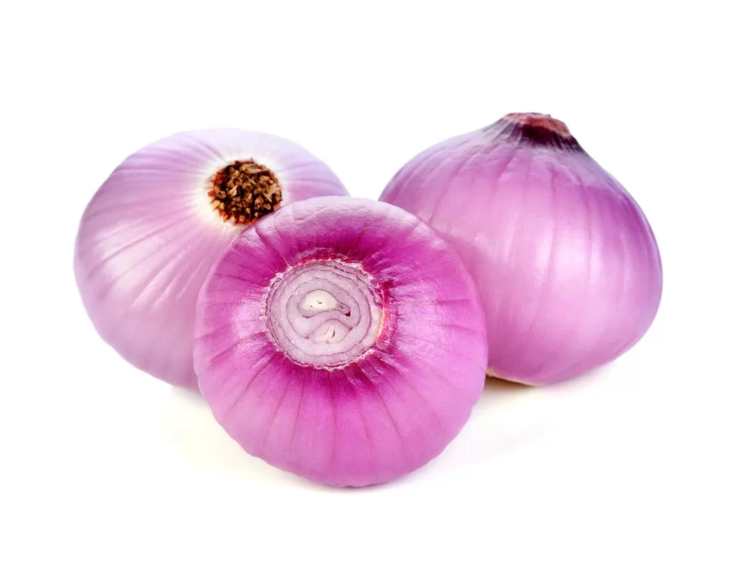 Purple Onion Round Shiny Layered