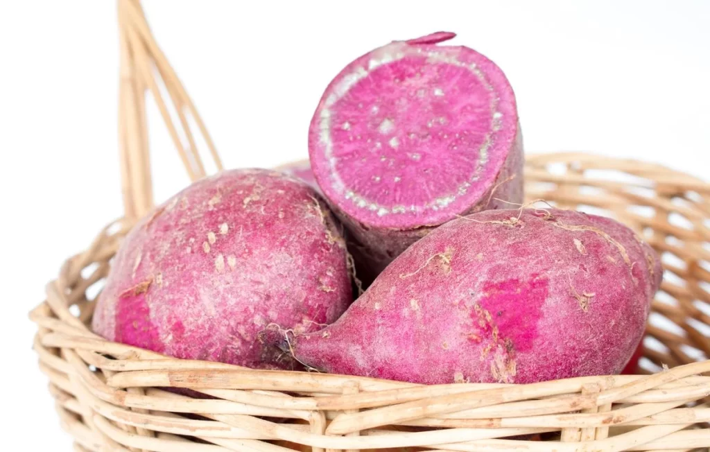 Purple Sweet Potato Root Colorful Nutritious