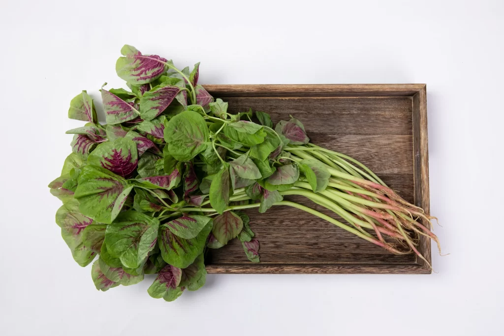 Radish Green Purple Leafy Root Vegetable