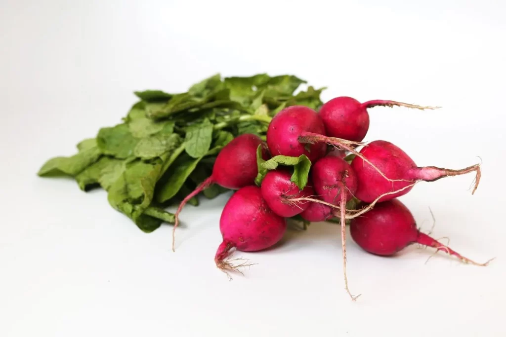 Radish Red Fresh Green Leaves