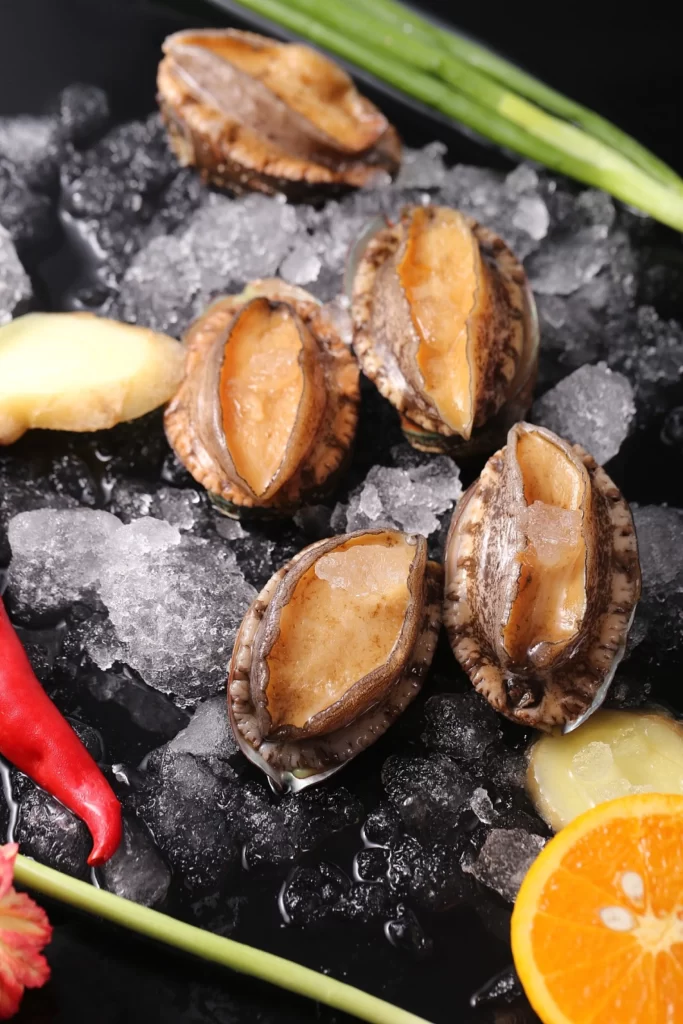 Raw Clams Brown Shell Ice Fresh Ingredients