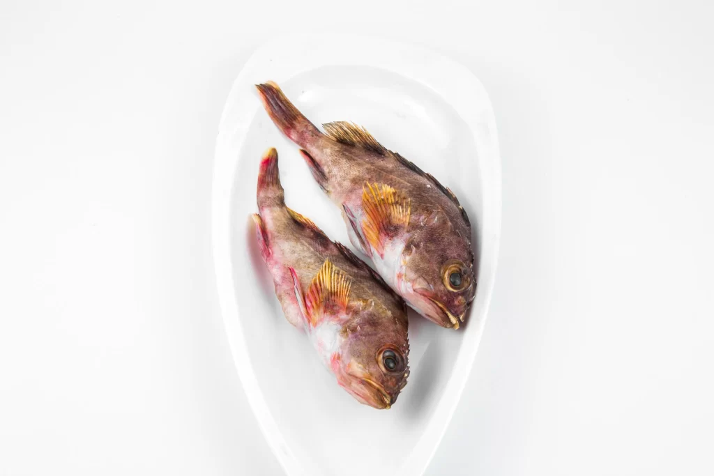 Raw Fish Brown Color White Plate