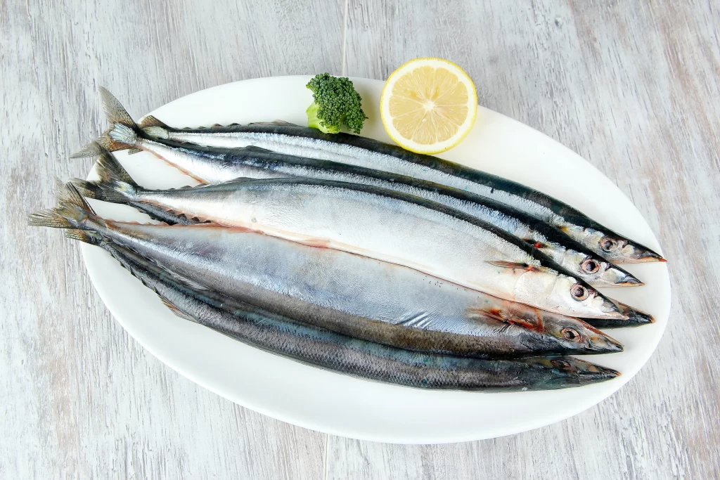Raw Fish Silver Color White Plate