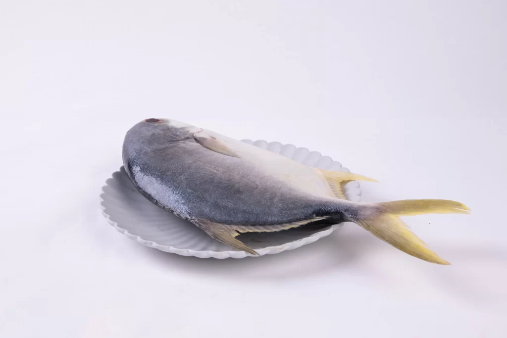 Raw Fish White Plate Yellow Fins