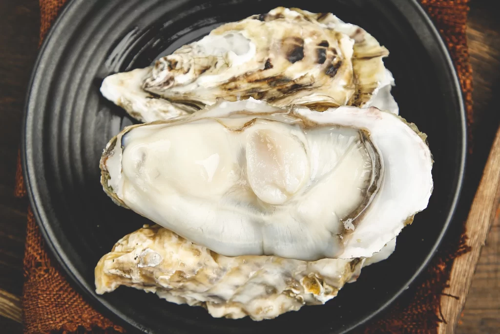 Raw Oysters Open Shells White Creamy