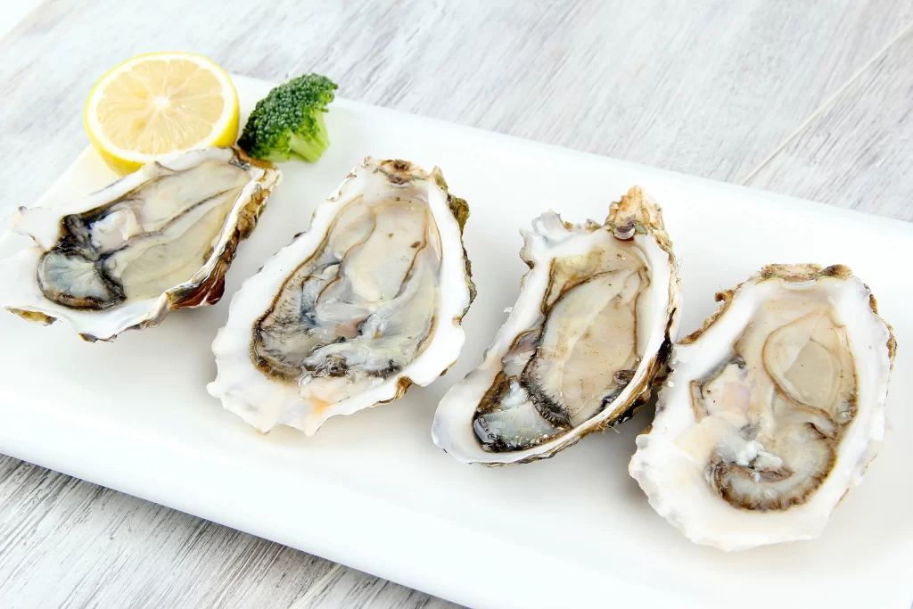Raw Oysters Open Shells White Plate Lemon