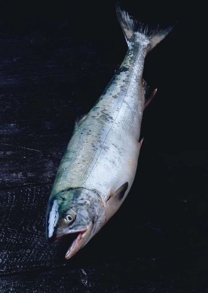 Raw Salmon Silver Skin Dark Surface
