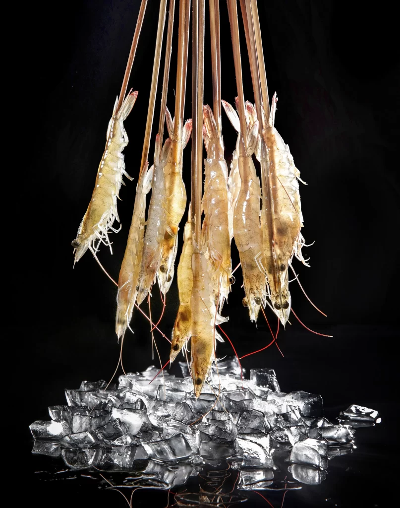 Raw Shrimp Clear Ice Black Background