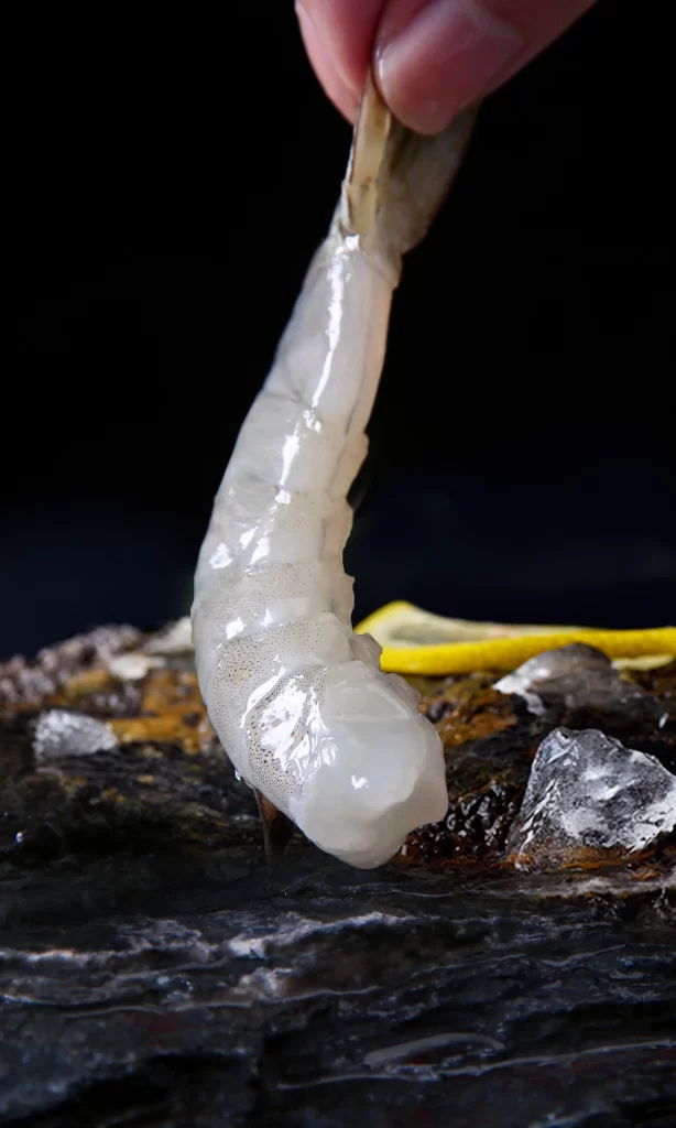 Raw Shrimp White Shell Dark Background