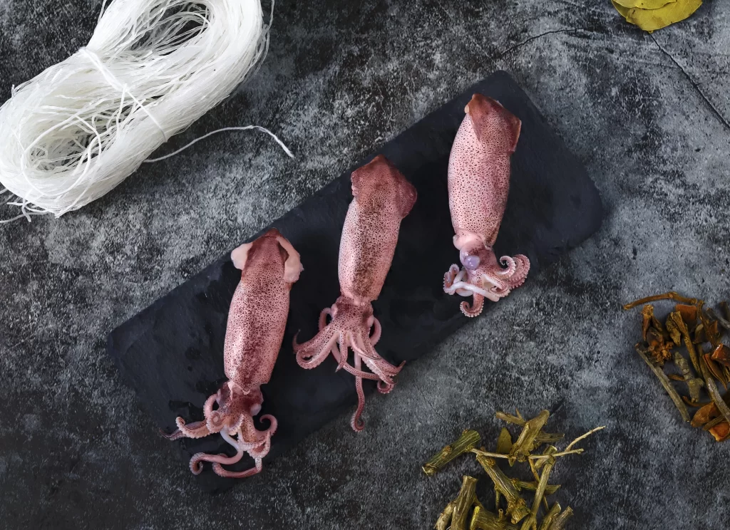 Raw Squid Pink Tentacles Black Slate
