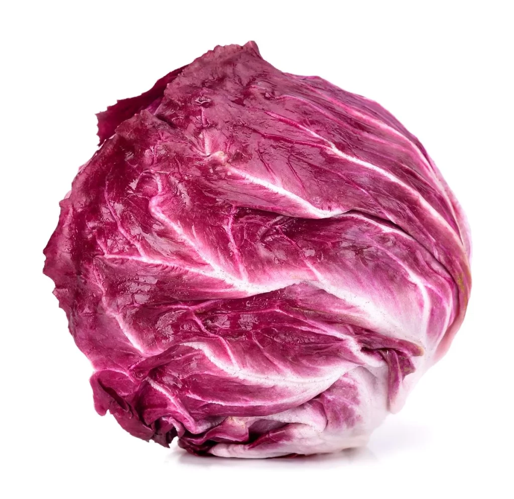 Red Cabbage Purple Crisp Fresh