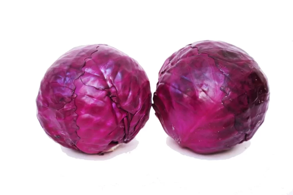 Red Cabbage Purple Crisp Fresh