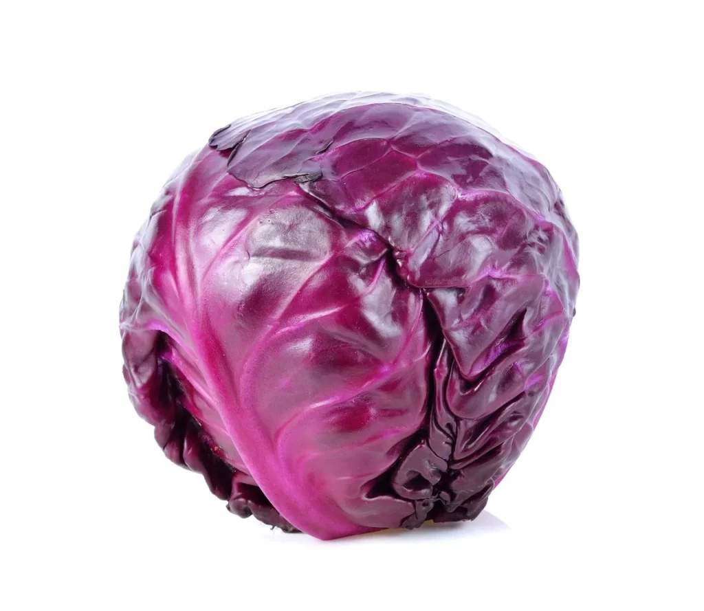 Red Cabbage Purple Crisp Fresh