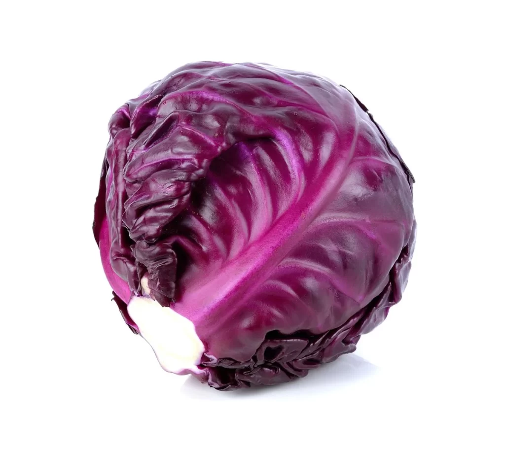 Red Cabbage Purple Crisp Leafy