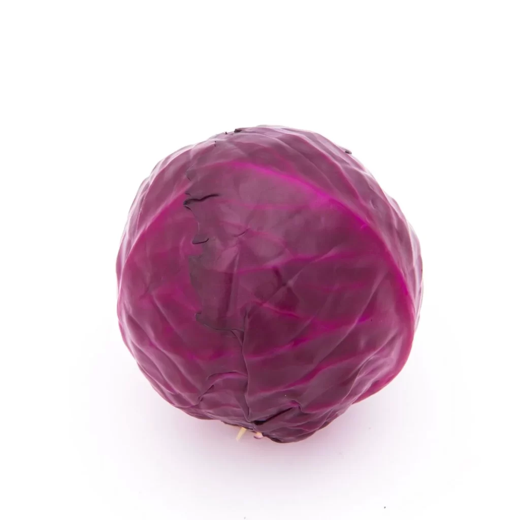 Red Cabbage Purple Crisp Leafy