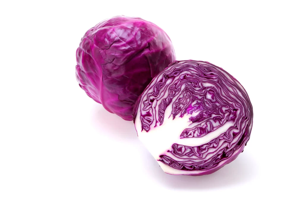 Red Cabbage Purple Layered Crisp