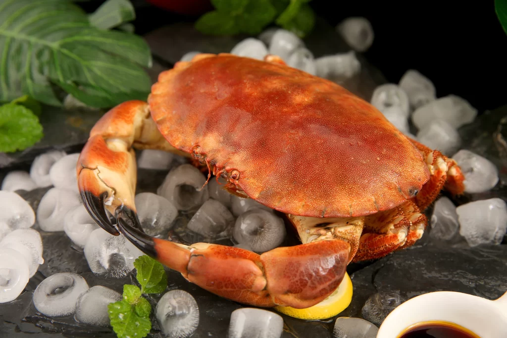 Red Crab Ice Fresh Green