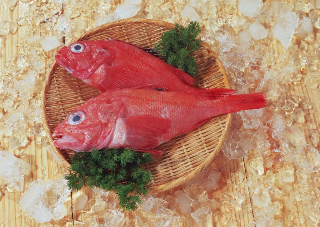 Red Fish Fresh Green Garnish Ice Crystals