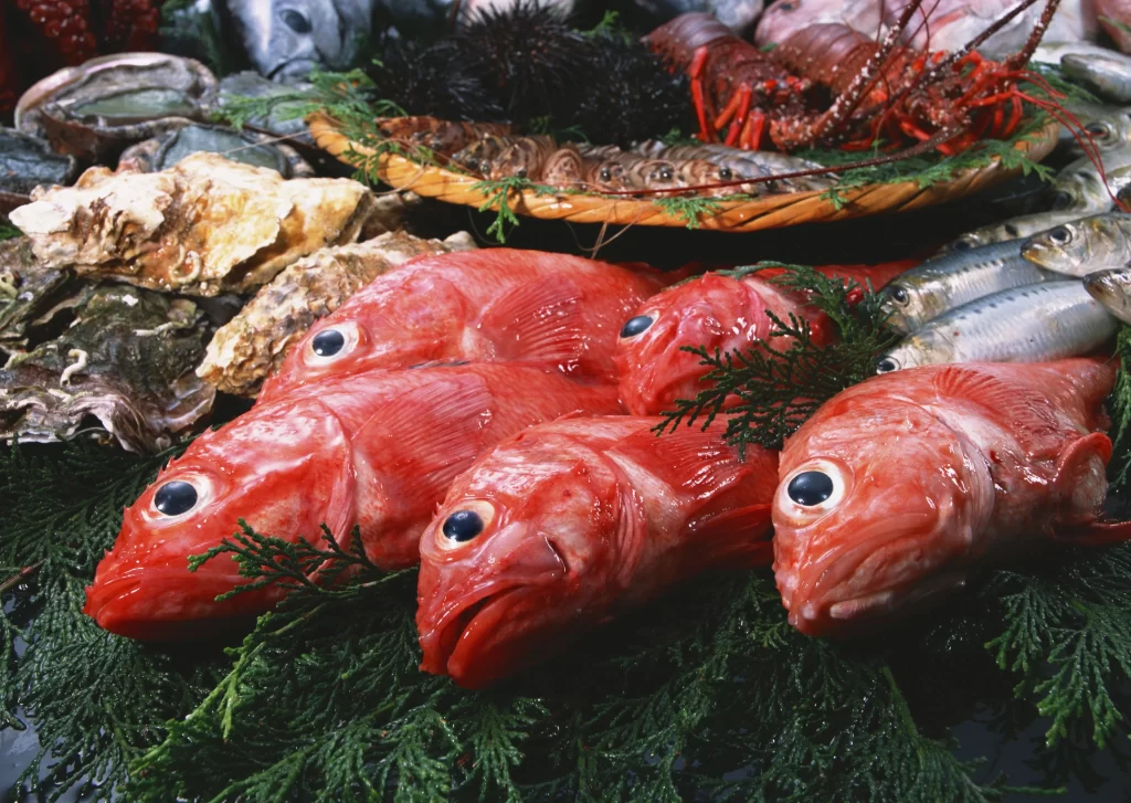 Red Fish Fresh Green Herbs Seafood Variety