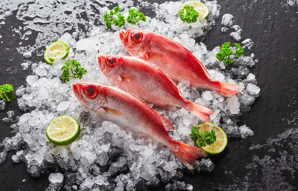 Red Fish Ice Fresh Green Garnish