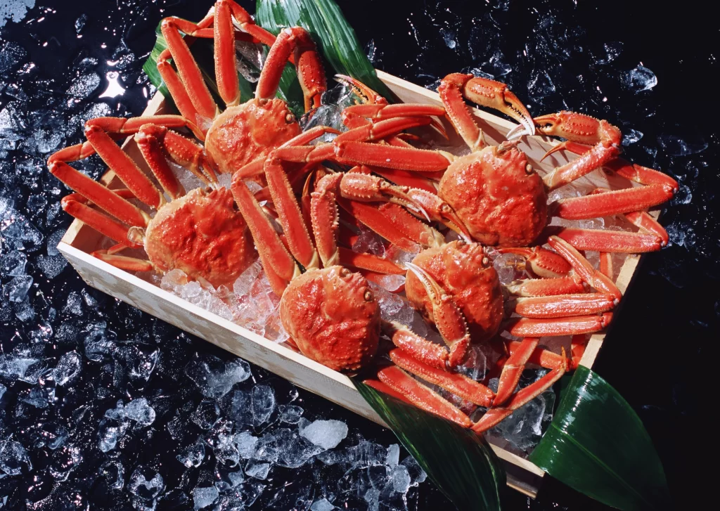 Red King Crab Fresh Ice Green Leaves