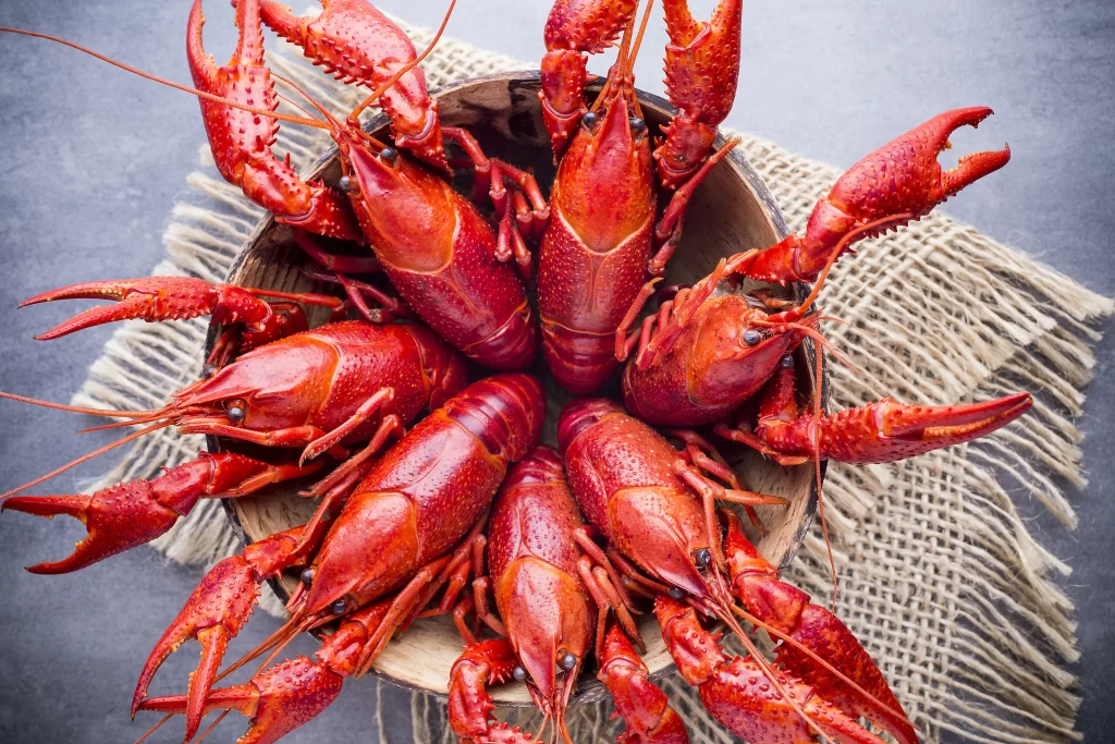 Red Lobsters Basket Rustic Style