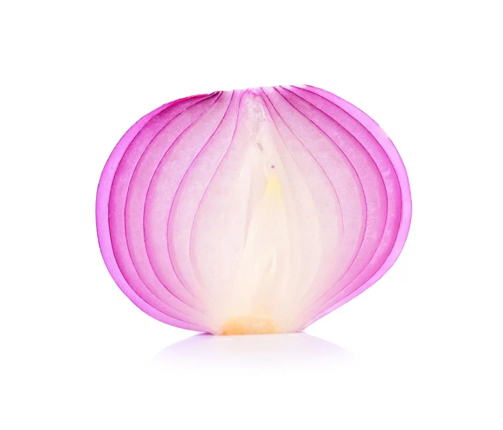 Red Onion Purple Layered Fresh