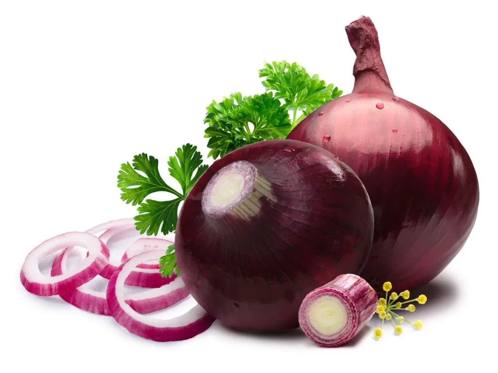 Red Onion Purple Layered Fresh
