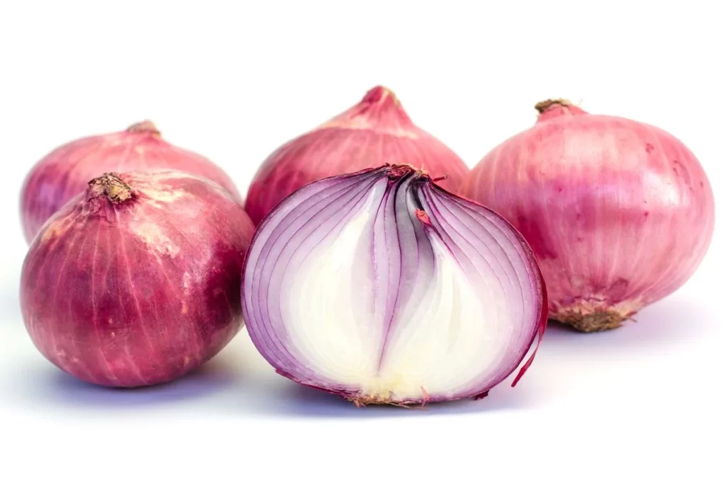 Red Onion Purple Layered Fresh