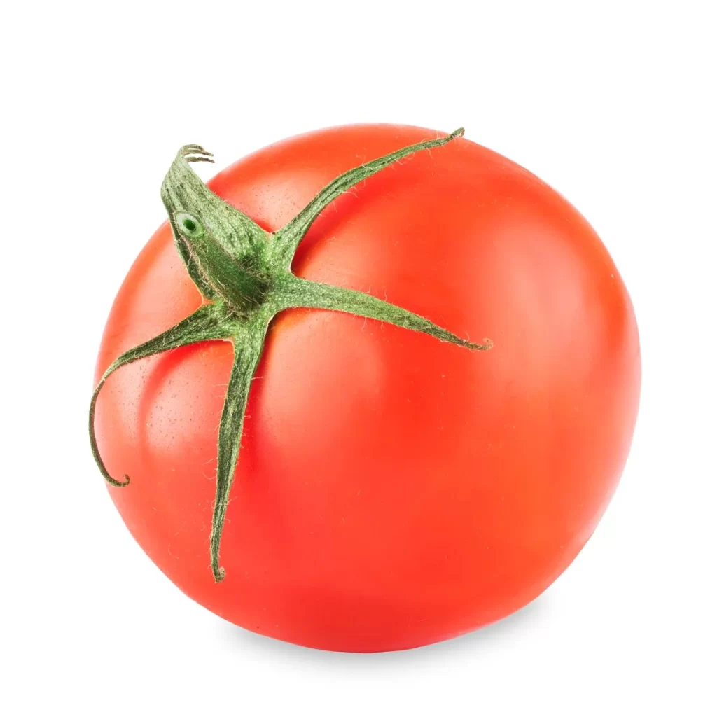 Red Tomato Fresh Green Stem