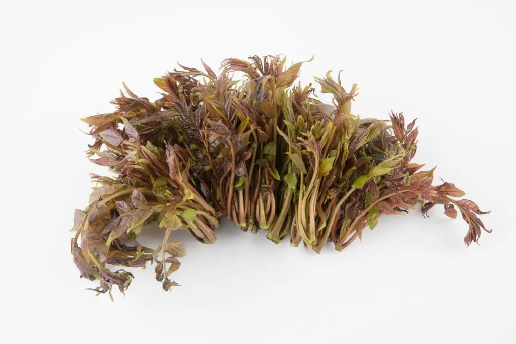 Reddish-Brown Amaranth Vegetable Fresh Crisp