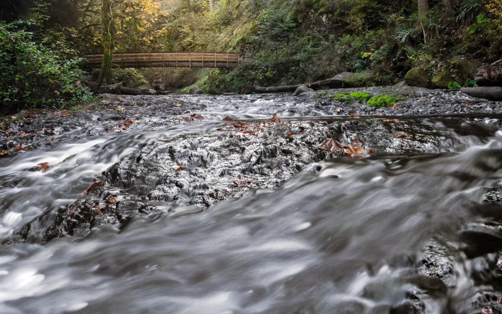 river bridge forest rocks water leaves