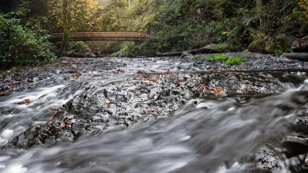 river bridge nature forest rocks water