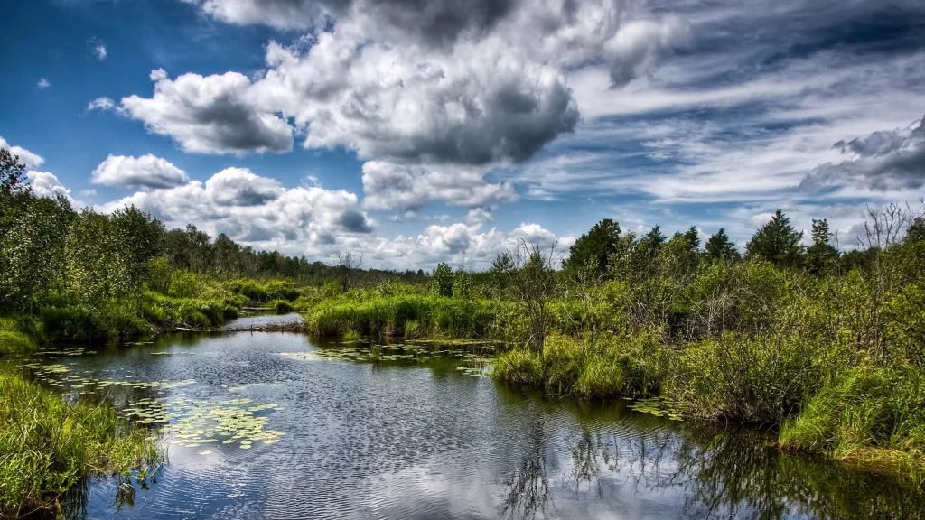 river clouds sky vegetation reflection nature