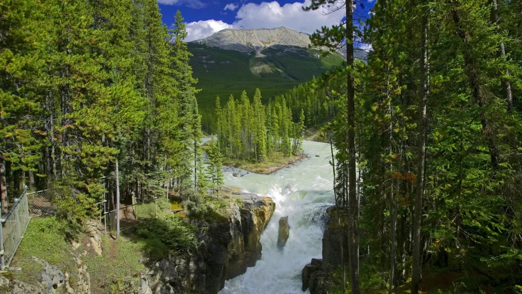 river forest mountain waterfall nature landscape