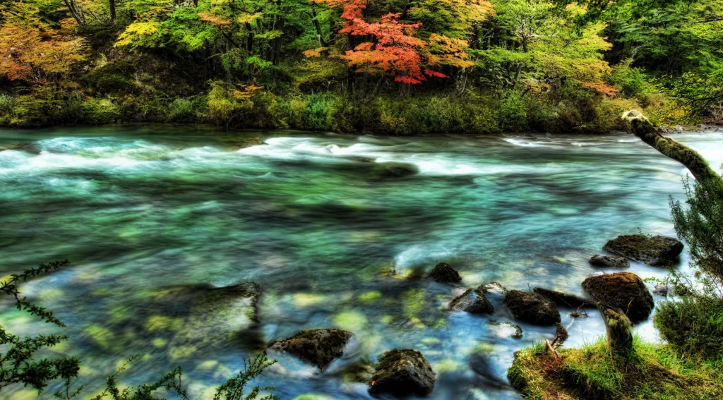 river nature trees autumn water rocks