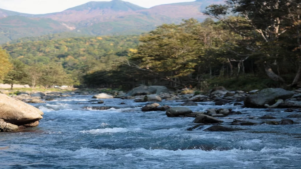 river rocks trees mountains water nature