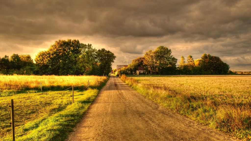 road countryside trees fields sunset clouds