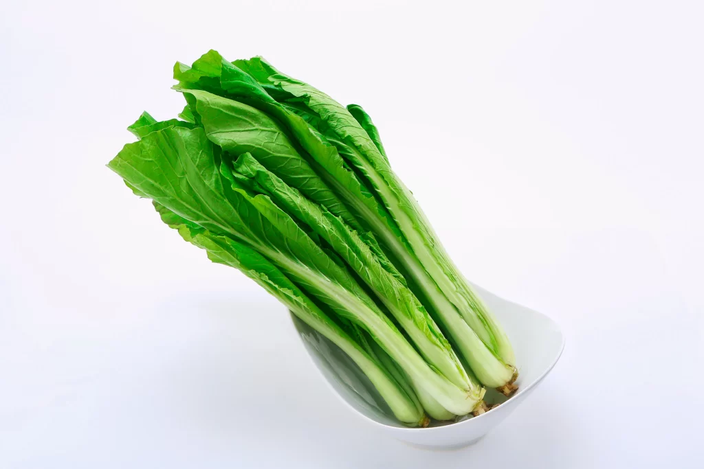 Romaine Lettuce Green Crisp Fresh