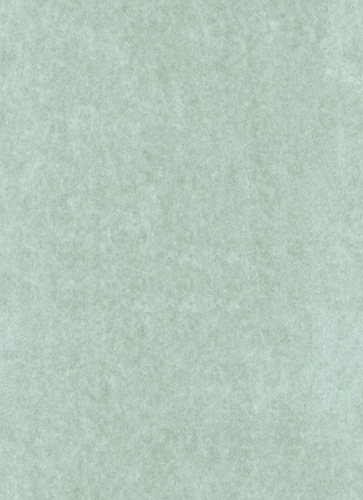 Sage Green Paper Texture Fibrous Matte