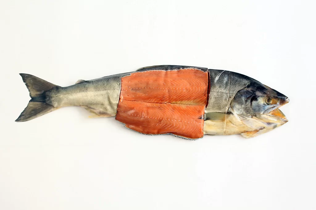 Salmon Raw Orange Flesh White Background