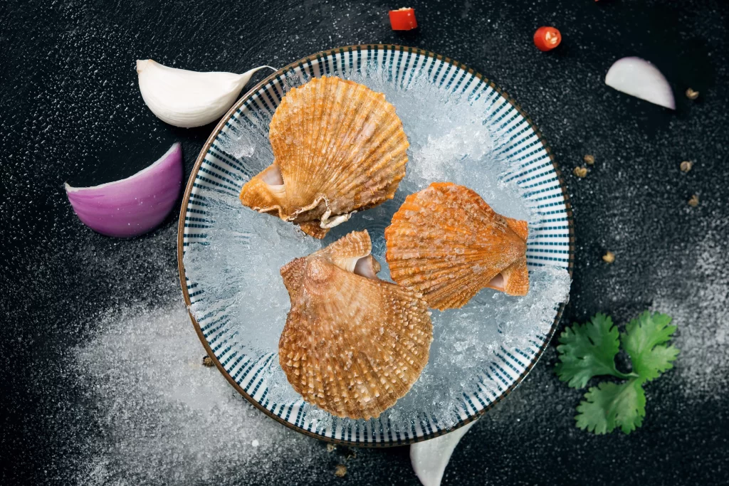 Scallop Raw Orange Shell Ice Crystals