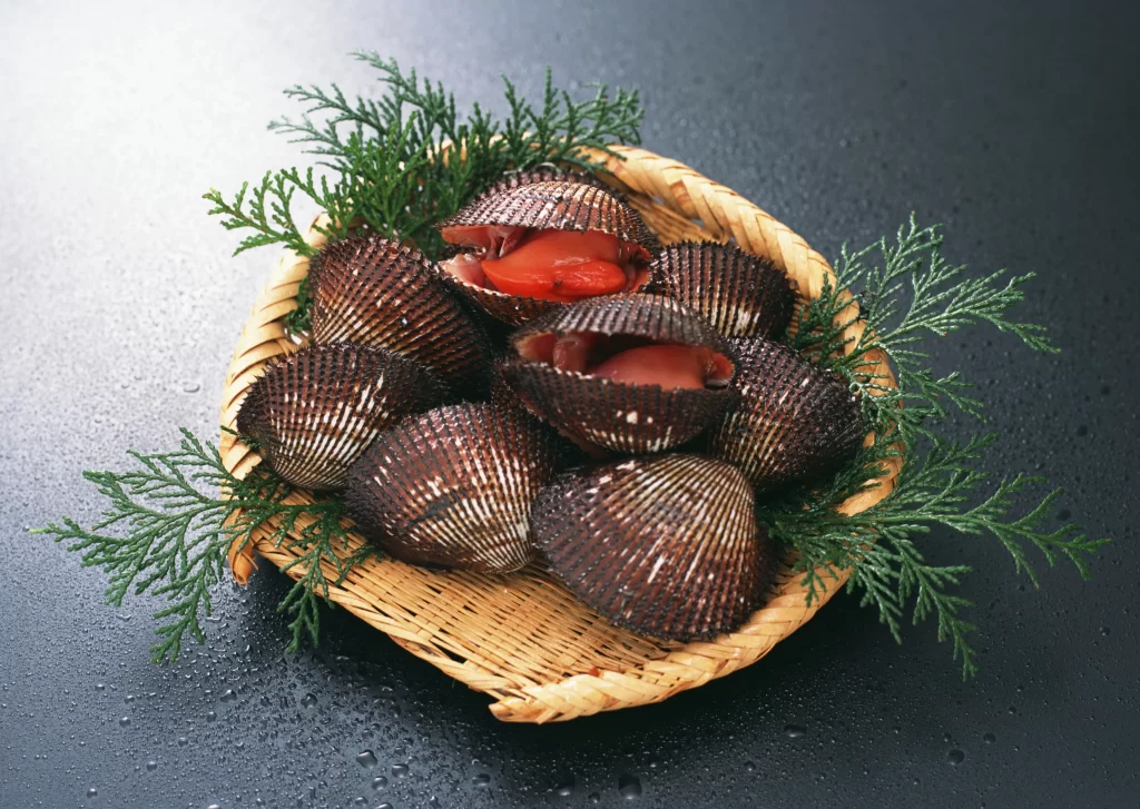 Scallops Brown Shell Red Flesh Green Herbs Basket