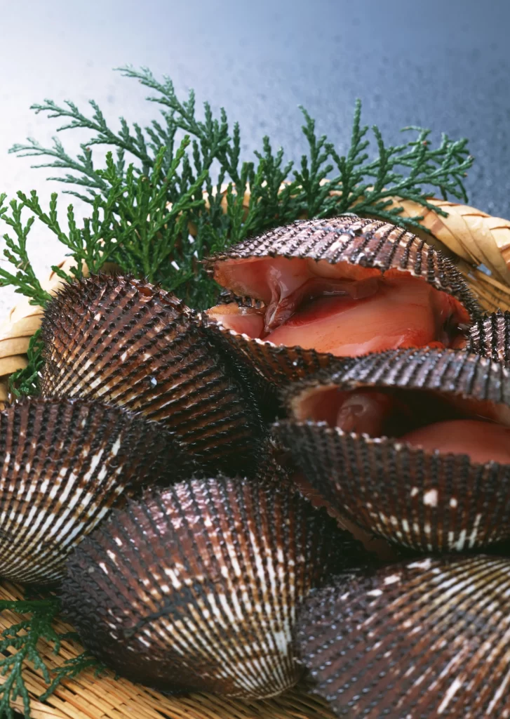 Scallops Raw Brown Shell Green Garnish