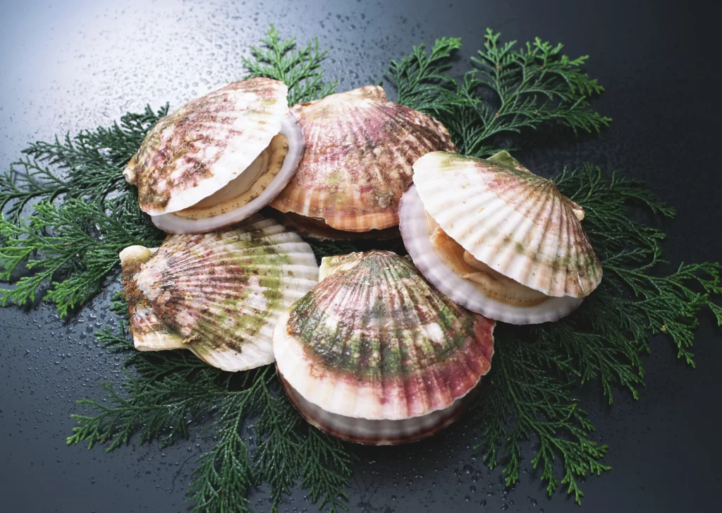 Scallops Raw Green Herbs Dark Background