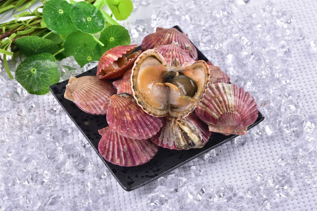 Scallops Raw Reddish-pink Ice Crystals Fresh